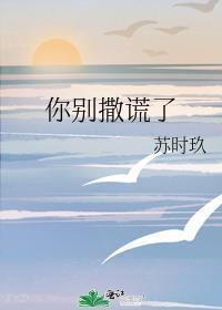 你别撒谎了苏时玖