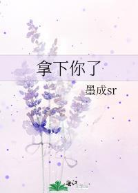拿下你了 墨成sr