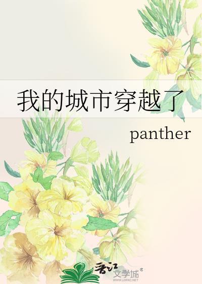 我的城市系列完整版