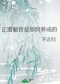 作为整个修真界都承认的正道魁首
