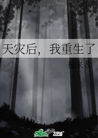 我重生了是双洁吗
