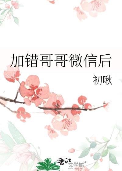 加错哥哥微信后云岫晏揽