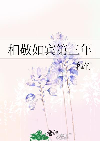 相敬如宾第三年讲的什么