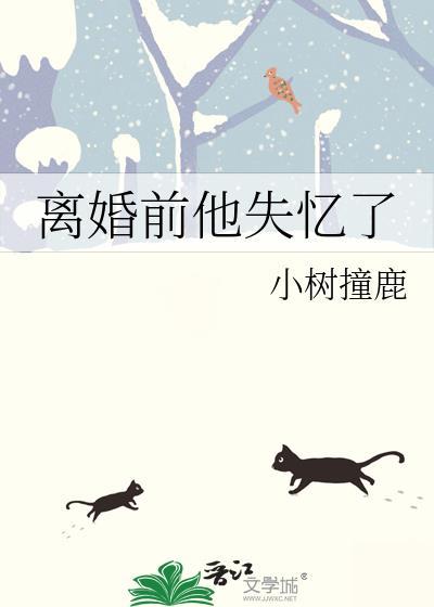 离婚前他失忆了 作者小树撞鹿