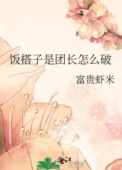 饭团团长是什么意思