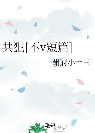 共犯关系全文阅读