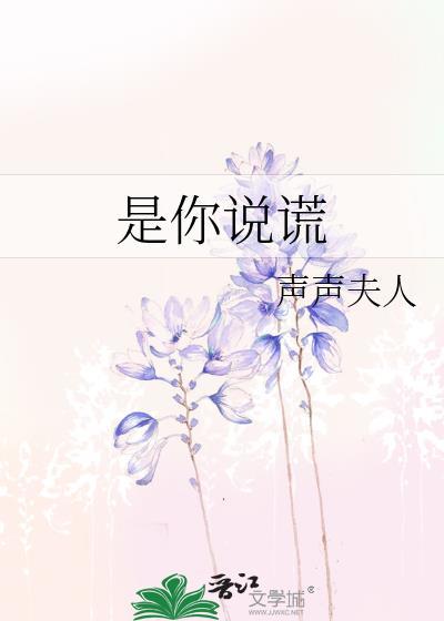 是你说谎by黑桃lady