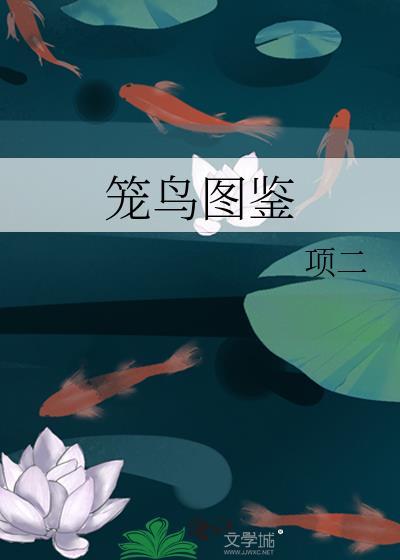 笼鸟图鉴免费阅读