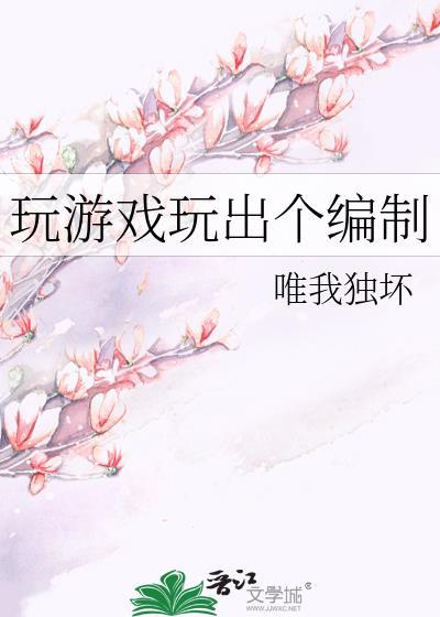 玩游戏玩出个编制300