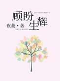 顾盼生辉晋江