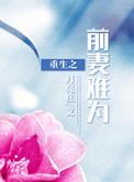 重生之前妻gl