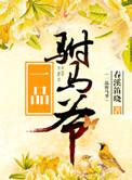 一品驸马爷春溪笛晓TXT