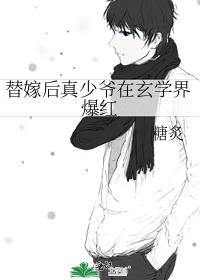 替嫁小少爷她超软