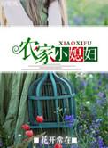 农家小媳妇全文免费