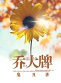 乔大牌txt百度