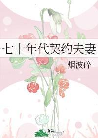 七十年代契约夫妻烟波碎TXT