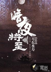 暗夜将至cp