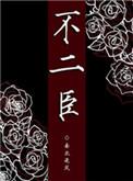 不二臣by南北逐风讲了什么