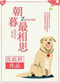 朝暮最相思(女尊)明月端绮
