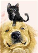 穿成猫后我靠玄学爆红