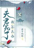 夫君死了我怎么办txt