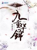 九重华锦莫西凡txt