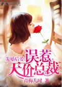 先婚后爱误惹天价首席免费阅读