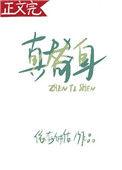 真替身是什么