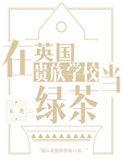 在英国贵族学校当绿茶宝书