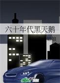 六十年代黑天鹅无防盗章
