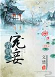 清穿之宠妾