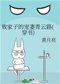 败家子的宠妻青云路穿书