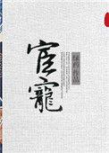 宦宠封禹姜微盈