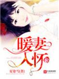暖妻入怀免费阅读无弹窗