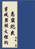 穿进男频搞建基建