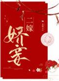 二嫁娇妾作者半溪茶