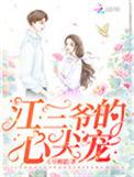 江三爷的心尖宠 无尽相思番外