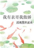 我有表哥我傲娇书包网