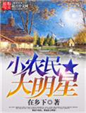 小农民系列全部