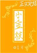小金枝盛晚风txt