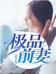 我的前妻是极品