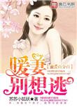 蜜爱100分甜妻宠 到底