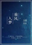 乘风入梦txt