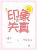 印象失真在线阅读番外