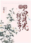 替身白月光转正了百度