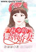 权少的替嫁萌妻完整版