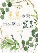 崽崽今天给人算命了吗