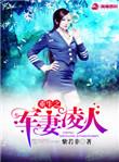 重生之军妻凌人TXT百度