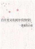 白月光又在闹分手百度