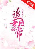 偏执狂宠妻